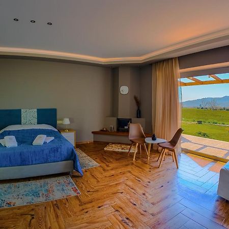 Atrium Vinea Brintziki Winery Apartment Smila Екстериор снимка