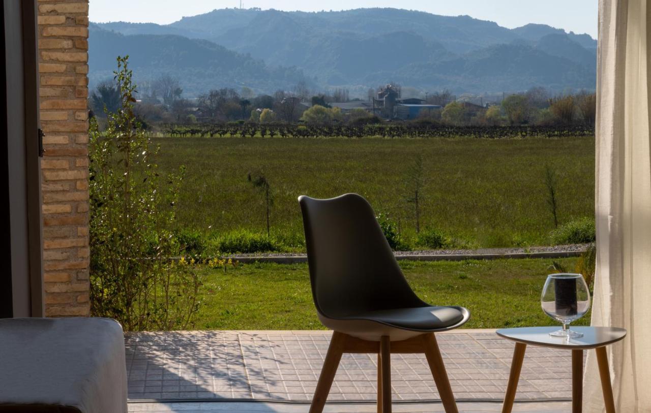 Atrium Vinea Brintziki Winery Apartment Smila Екстериор снимка