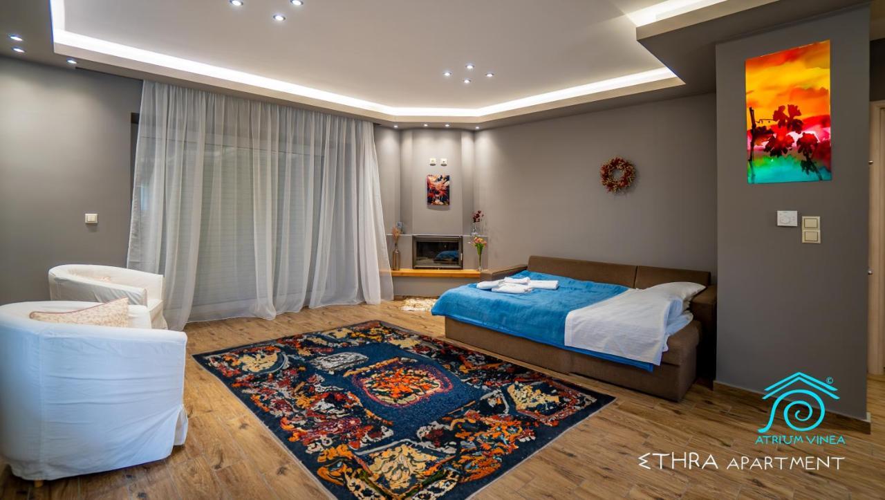 Atrium Vinea Brintziki Winery Apartment Smila Екстериор снимка