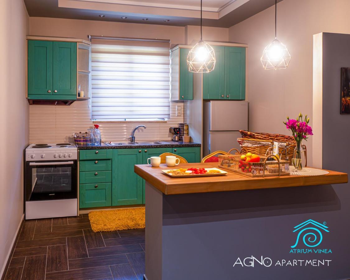 Atrium Vinea Brintziki Winery Apartment Smila Екстериор снимка