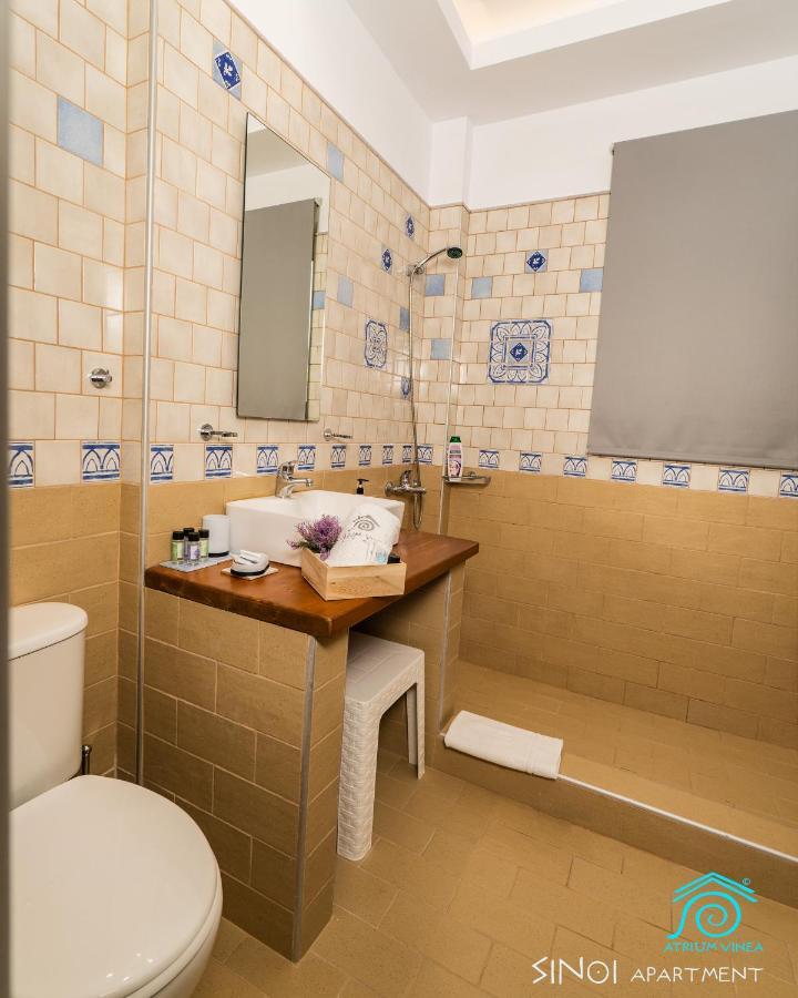 Atrium Vinea Brintziki Winery Apartment Smila Екстериор снимка