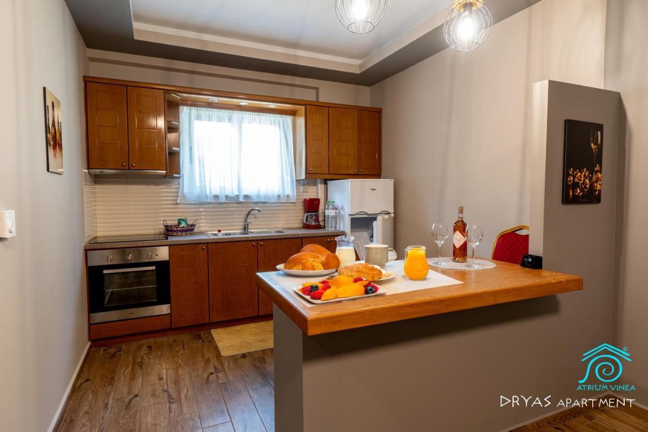 Atrium Vinea Brintziki Winery Apartment Smila Екстериор снимка