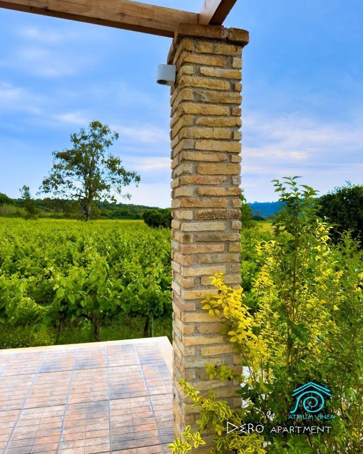 Atrium Vinea Brintziki Winery Apartment Smila Екстериор снимка